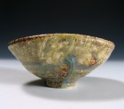 Haiyūsai Yōhen Tea Ceremony Bowl by Ikai Yūichi