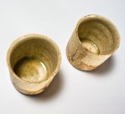 Haiyūsai Green Tea Cup Set by Ikai Yūichi