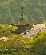 view of pagoda across gorge