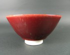 Shinsha-yū Tea Ceremony Bowl by Tamaya Kōsei