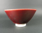 Shinsha-yū Tea Ceremony Bowl by Tamaya Kōsei