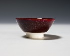 Shinshayū Saké Cup by Tamaya Kōsei