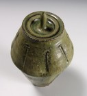 Haiyūsai Kokusen Lidded Vase by Ikai Yūichi